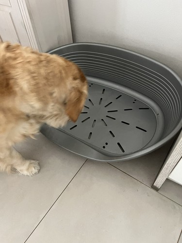 Hundebett xxl und kissen bei - xxl,