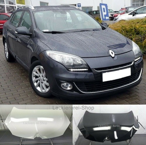 Motorhaube lackiert - motorhaube,
