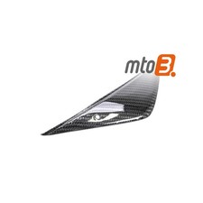 Carbon Unter Tankabdeckung