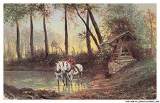 CAR-AEBP2-0074-ILLUSTRATOR -