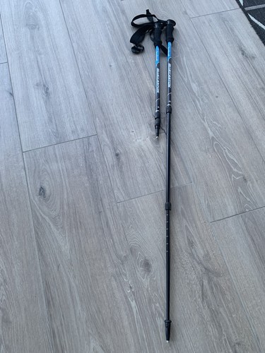 Nordic walking - nordic,