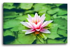 Wandbild Blumenbilder