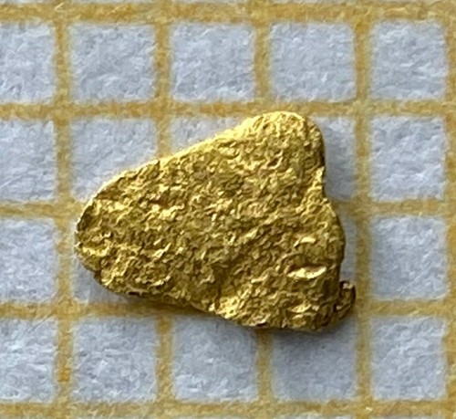 Echtes goldnugget - xl,