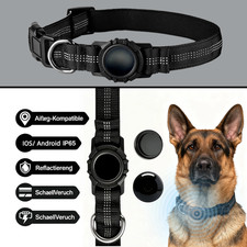 Hundehalsband mit Tracker