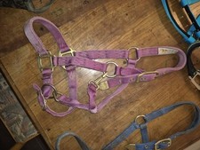 Hamilton Halfter , Small