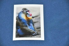 REWE ABENTEUER TIERWELT Nr