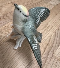 Karl ens porzellan vogel - porzellan,