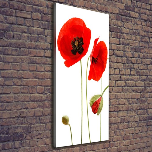 Leinwand bild kunstdruck - leinwand-bild,