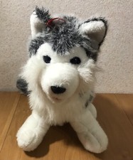 Plüschtier Husky