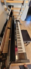 Wunderschönes Euterpe Piano Mod. EU 112 aus deutscher Produktion