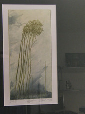 Aquatinta Radierung Pappeln im