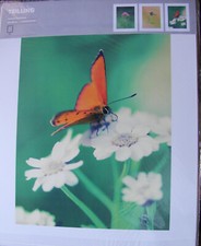 IKEA Wandbilder Trilling ohne