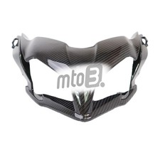 Carbon Frontverkleidung für