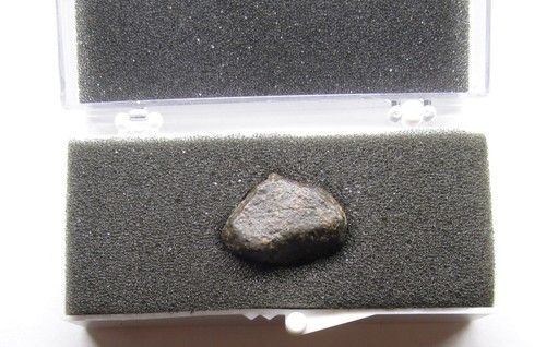 Meteorit nwa869 9 - nwa869,