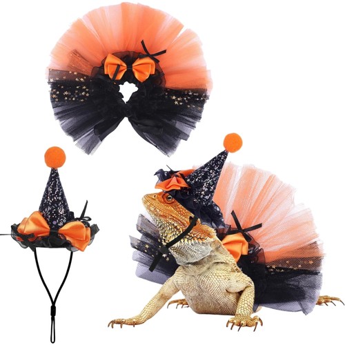 Bartagame kleidung blau - bartagame,