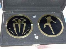 WWE Roman Reigns Authentic