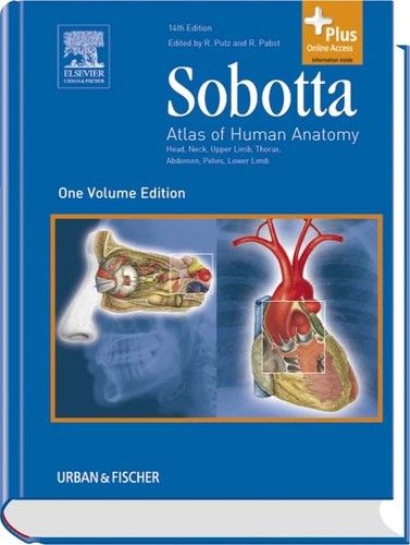 Sobotta atlas of - -,