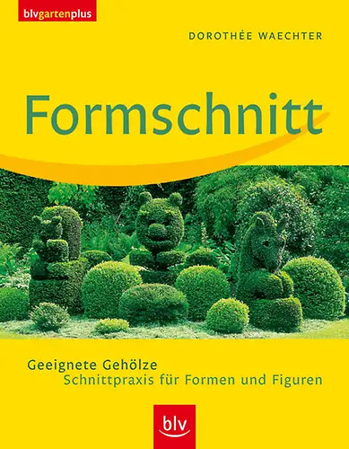 Formschnitt zustand sehr - sehr, gut