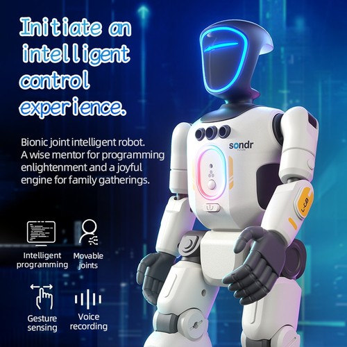 Programmierbarer roboter - programmierbarer,
