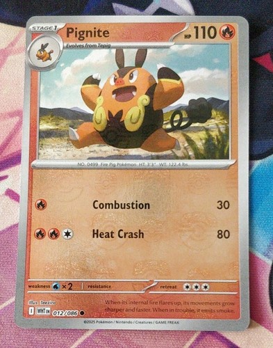Holo pignite poke ball - pignite, (poke