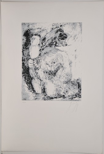 Günter grass lithografie - /,