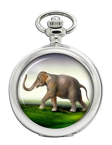 Indischer elefant taschenuhr - indischer,
