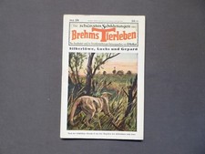 Die schönsten Schilderungen