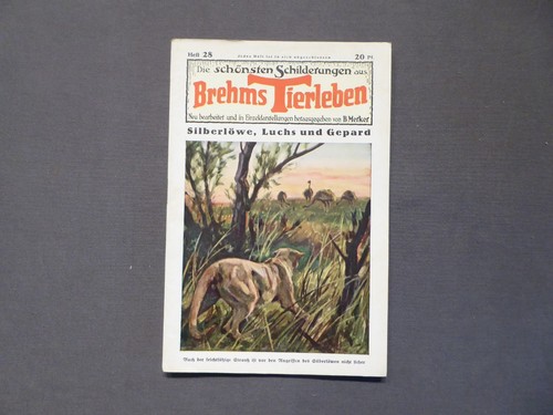 Die schönsten schilderungen - die,