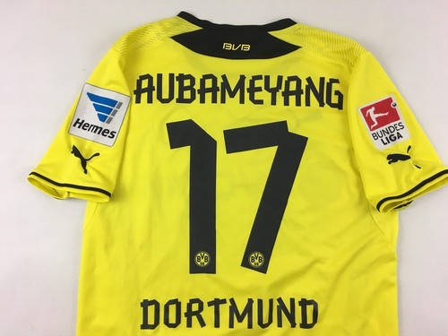 Borussia dortmund 2013 2014 - dortmund, 2013/14