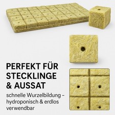 Steinwoll-Blöcke für die Anzucht – 50 Stück (2,5 × 2,5 × 2,5 cm)  Steinwolle
