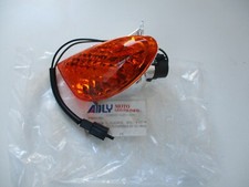 Adly Her Chee AT, Silver Fox, Thunder Bike TB 50 100 125 Blinker vorne rechts