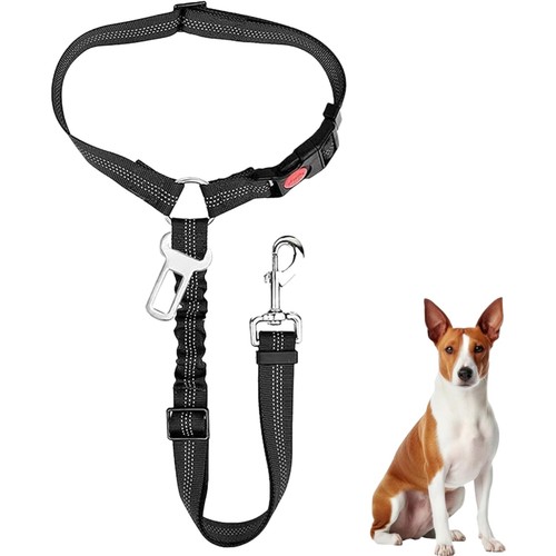 Anschnallgurt hund auto nylon - hund,