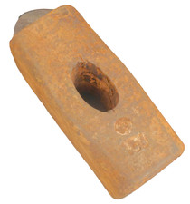 alter Hammerkopf 🌺 ca 1,5