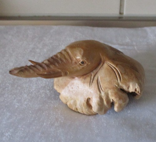 Elefant kopf figur - kopf,