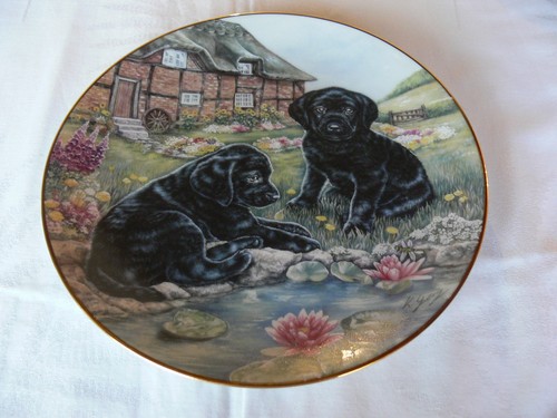 Sammelteller cottage puppies - cottage,
