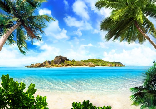 Strand palme natur landschaft - natur,