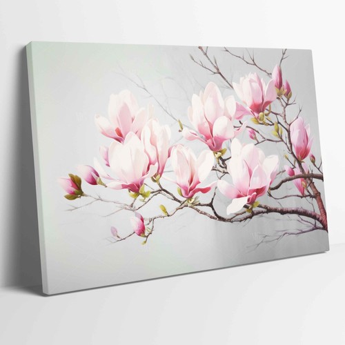 Magnolie blumen aufgespannte - magnolie,