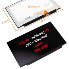 17,3" LED Display matt passend