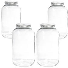 4 große Einmachgläser 4250