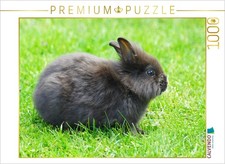 Calvendo puzzle schwarzes - puzzle,