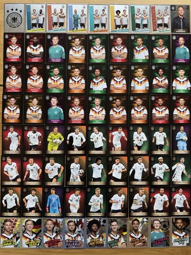 Alle dfb panini - 73,