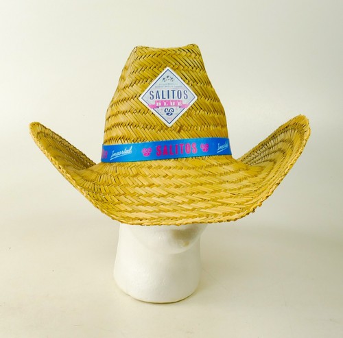 Salitos ice bier imported - bier,