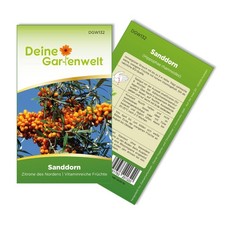 Sanddorn  Samen - Hippophae