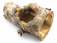 Großer natürlicher hohler