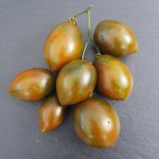 Cookie Selekt (97.24) Cherry Tomatensamen Cocktailtomaten Stabtomate 