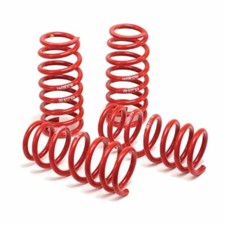 H&R (50484-88) Race Spring for