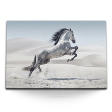 120x80cm Wandbild auf Leinwand