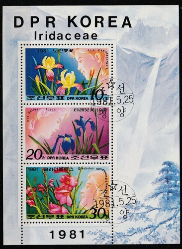 Block orchideen orchids - orchideen,