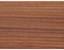 Terrassendiele Guyana Teak