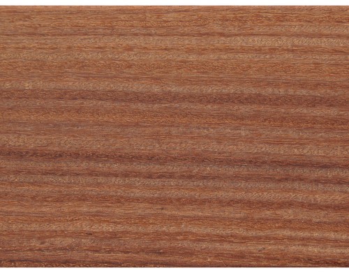 Terrassendiele guyana teak - guyana,